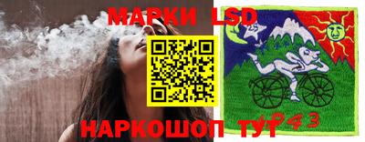 гидропоника Будённовск