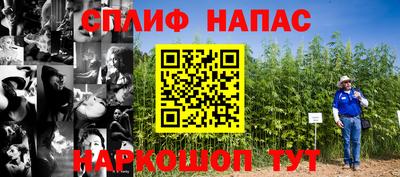 гидропоника Будённовск